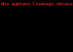 Policja Województwa Śląskiego